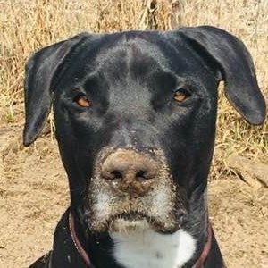 Meet your Posher, Ariane